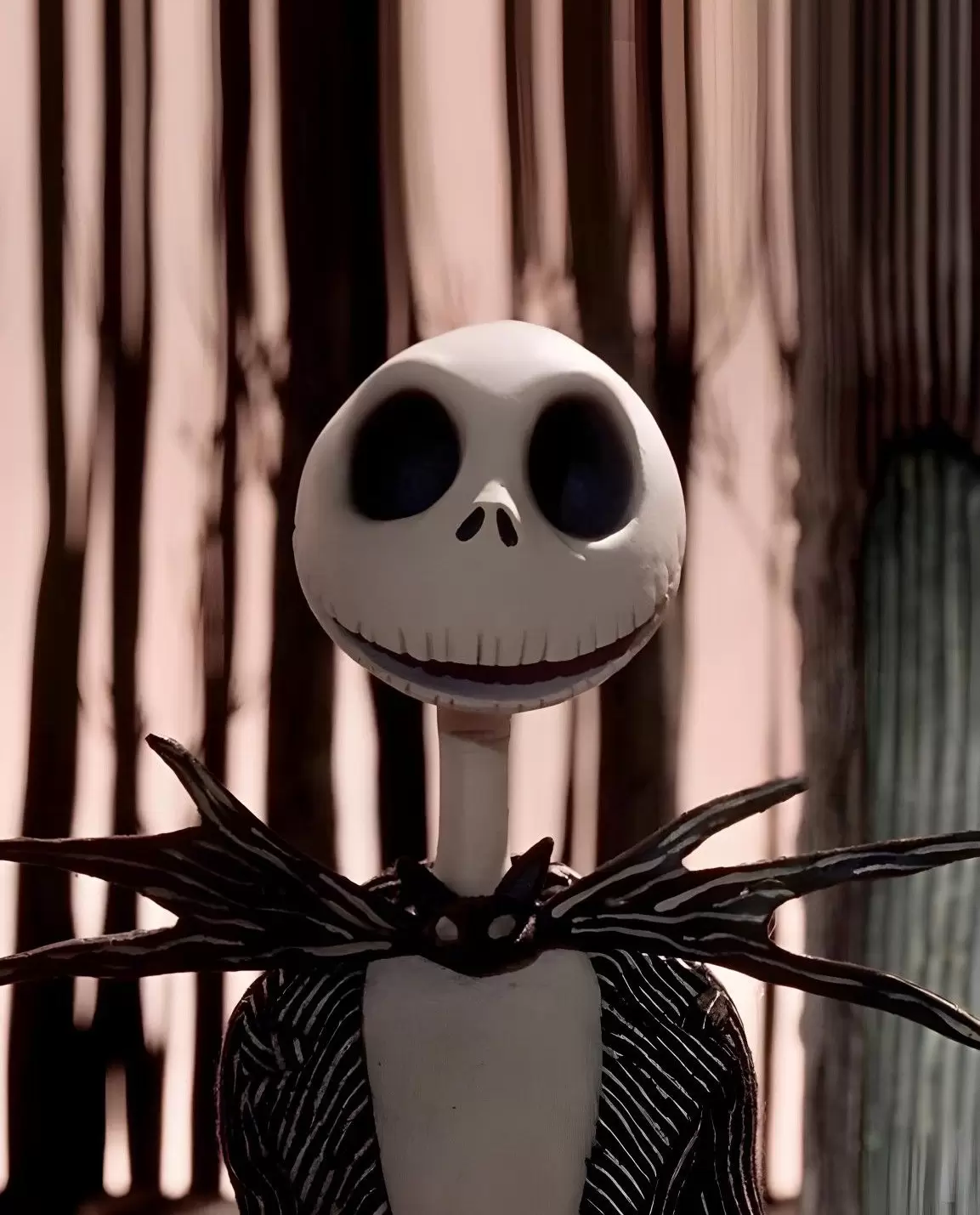 jack.jpg