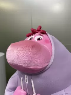 PELUCHE INTENSAMENTE VERG&Uuml;ENZA